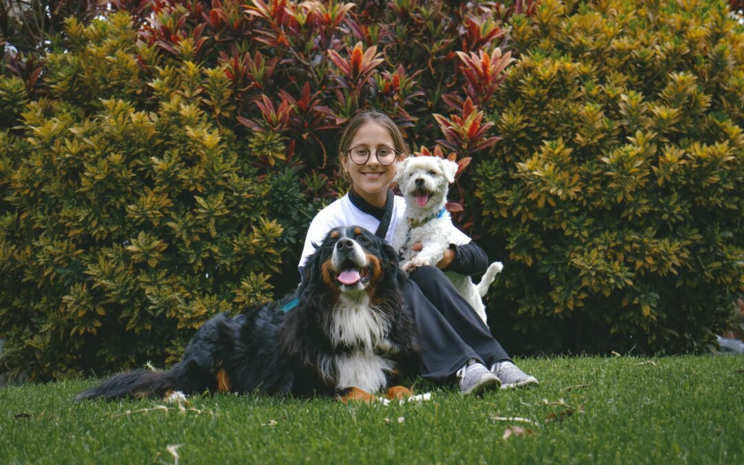 Homeopathy in Veterinary Care: Healing for Pets